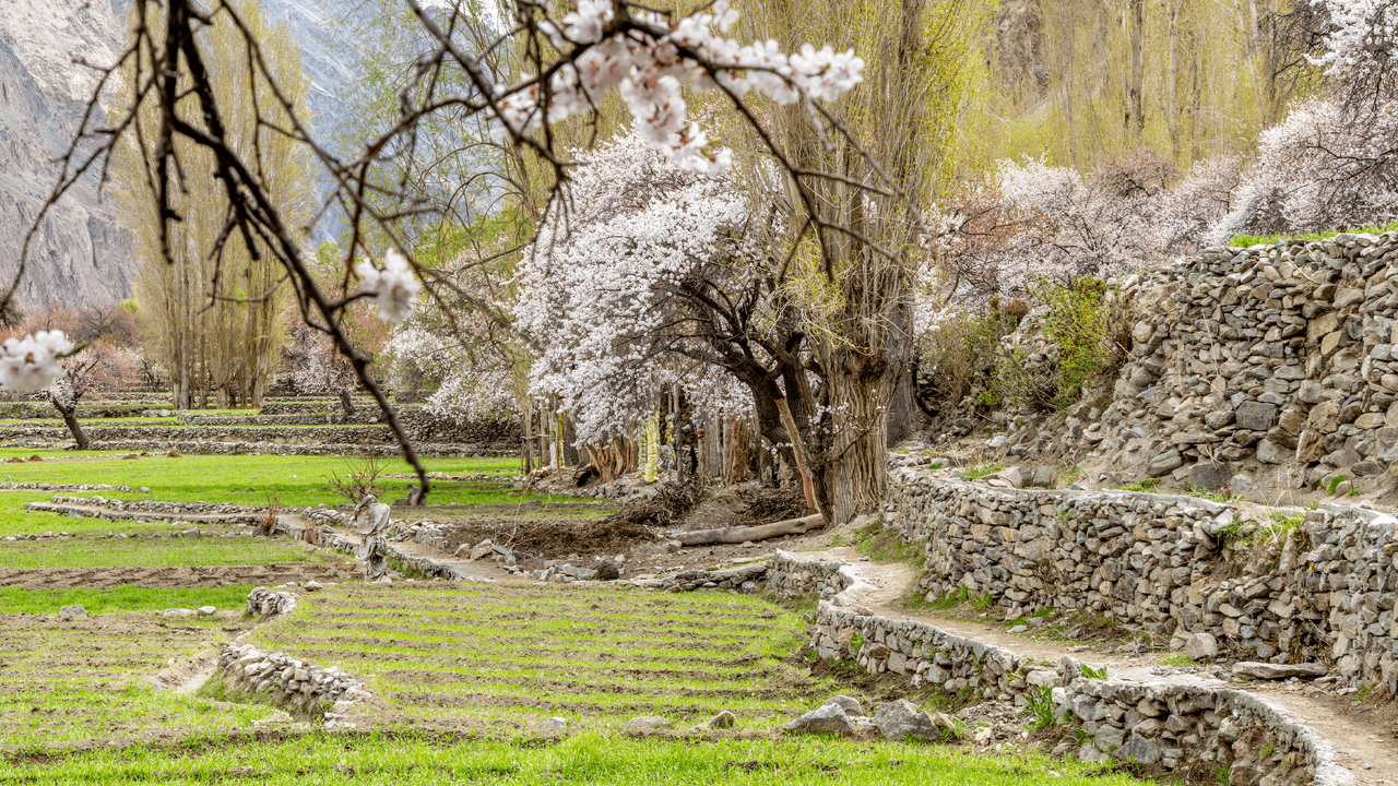 The best places to visit in April in India