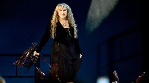Stevie Nicks postpones concerts after fracturing her shoulder