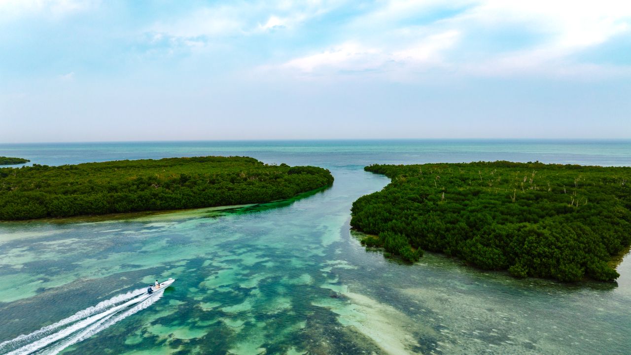 Expect the Unexpected in Florida