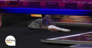 Las Vegas Science & Technology Festival Celebrates 15 Years of Discovery