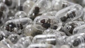 Chinese man jailed after trying to smuggle 2,200 ants out of Kenya in his luggage