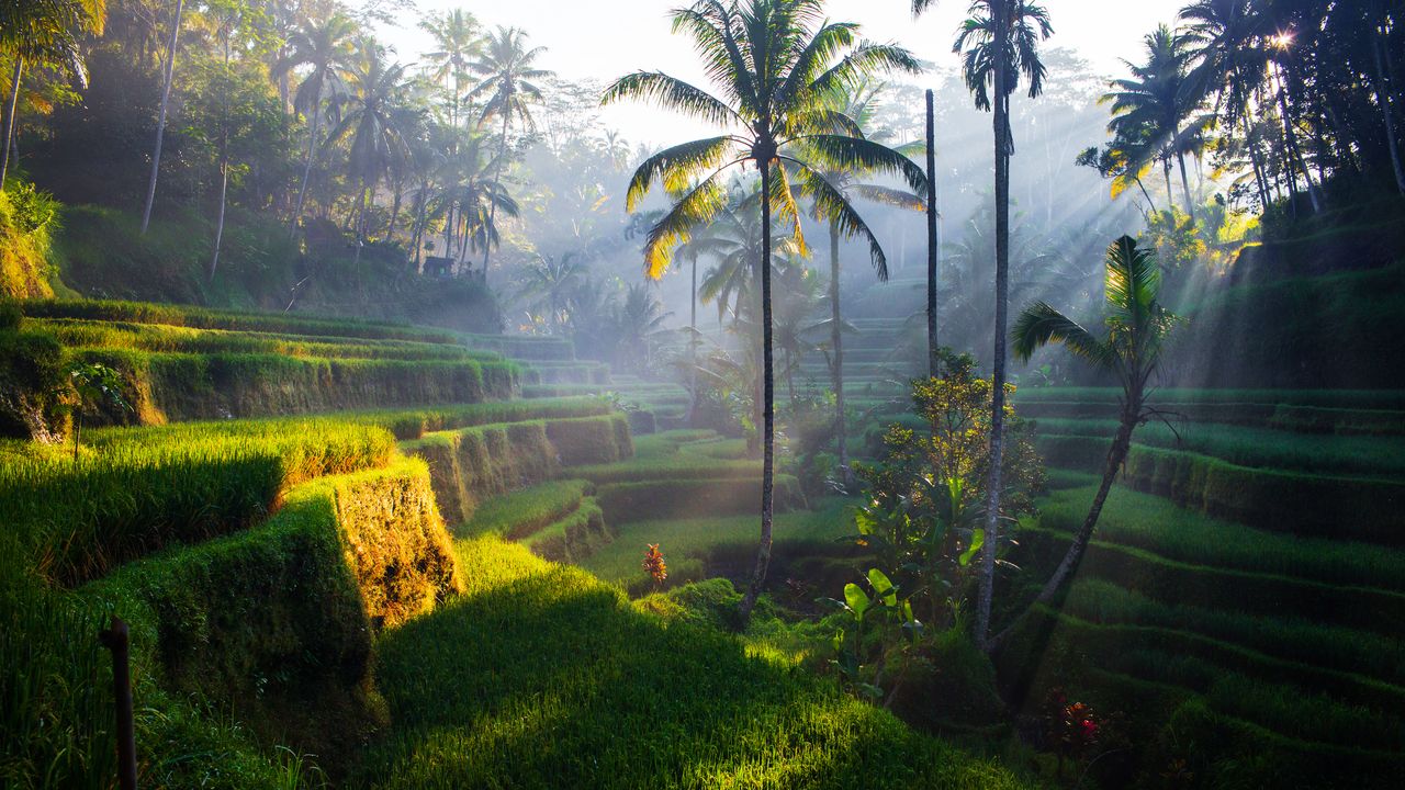 Condé Nast Traveller