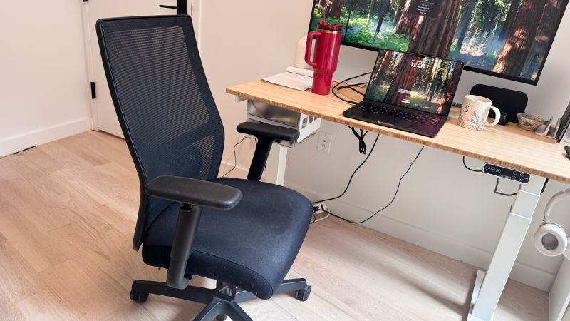 9 best office chairs for back pain, per experts