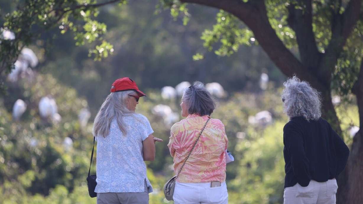 Bird brain: New study finds birdwatching may boost brain health, slow cognitive aging