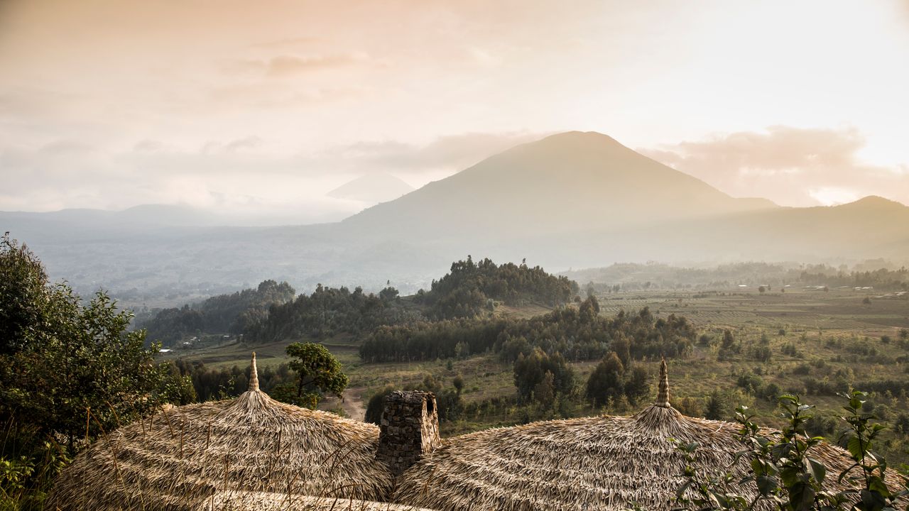 The Best Trips We Took in 2018