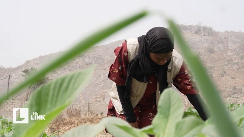 Cultivating soil health with the help of AI