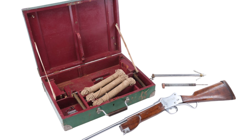 Hollywood Minute: Props from ‘Jaws,’ ‘Star Wars,’ ‘Black Panther’ and more on the block