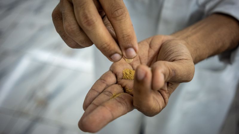 Ibogaine is drawing new interest from the Trump administration. Here’s what to know about the psychedelic