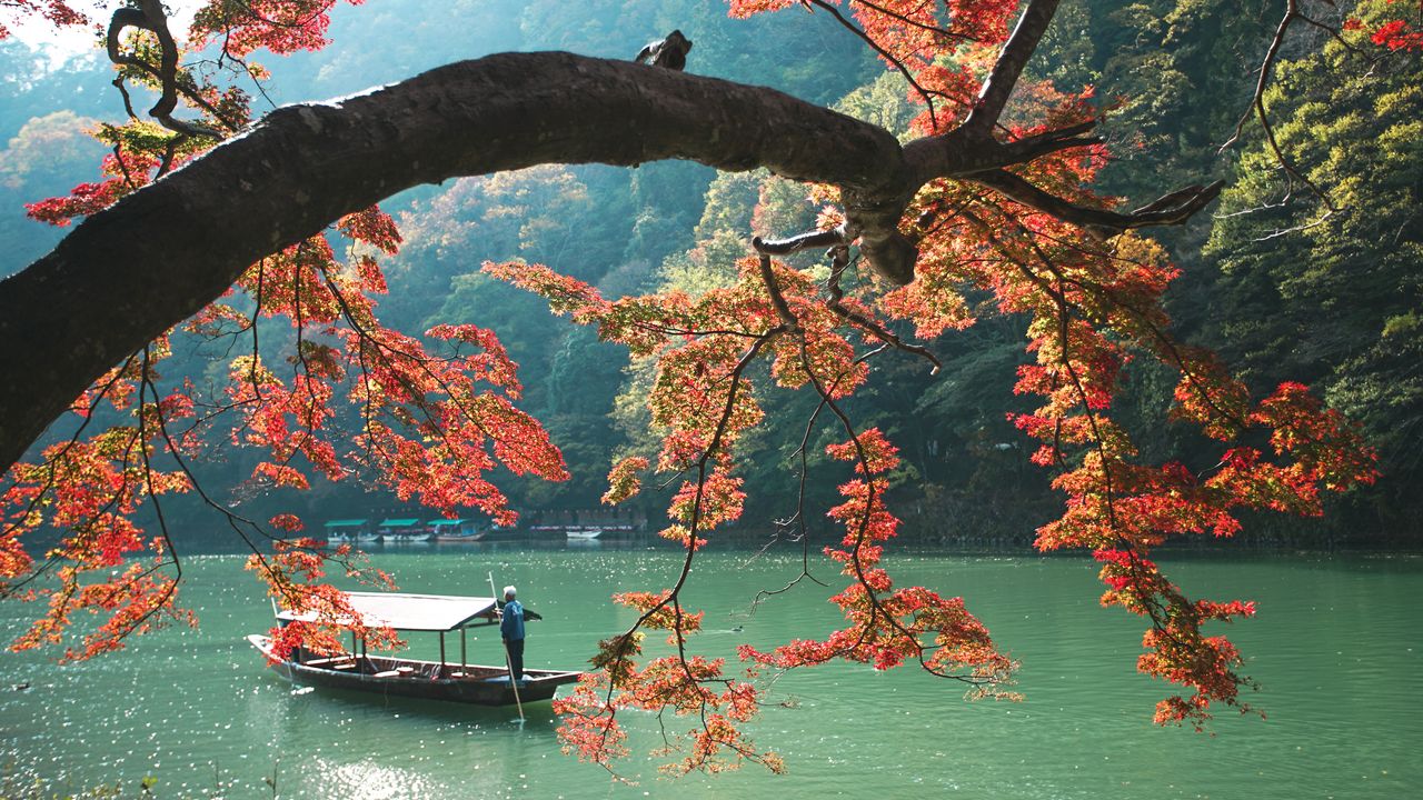 Dreaming of Travel Helps Me Face an Uncertain Future