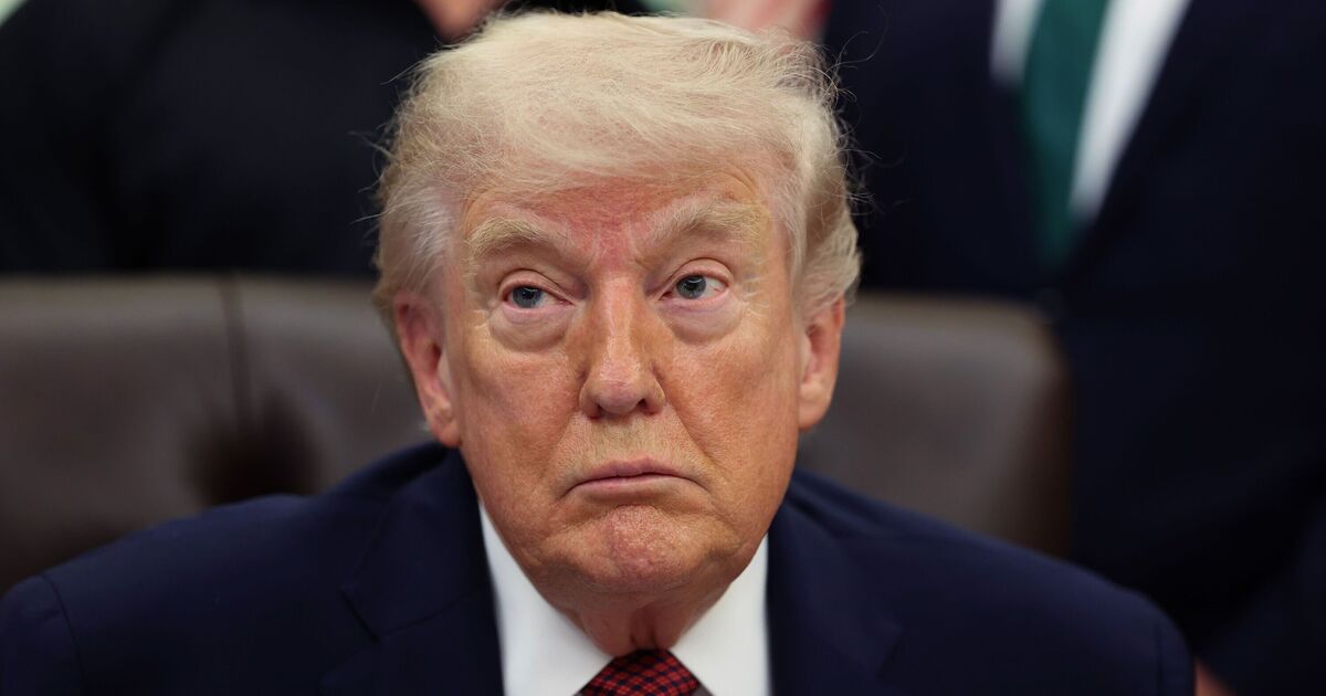 CNN anchor shocked as Donald Trump's disastrous poll numbers revealed - TV - Entertainment