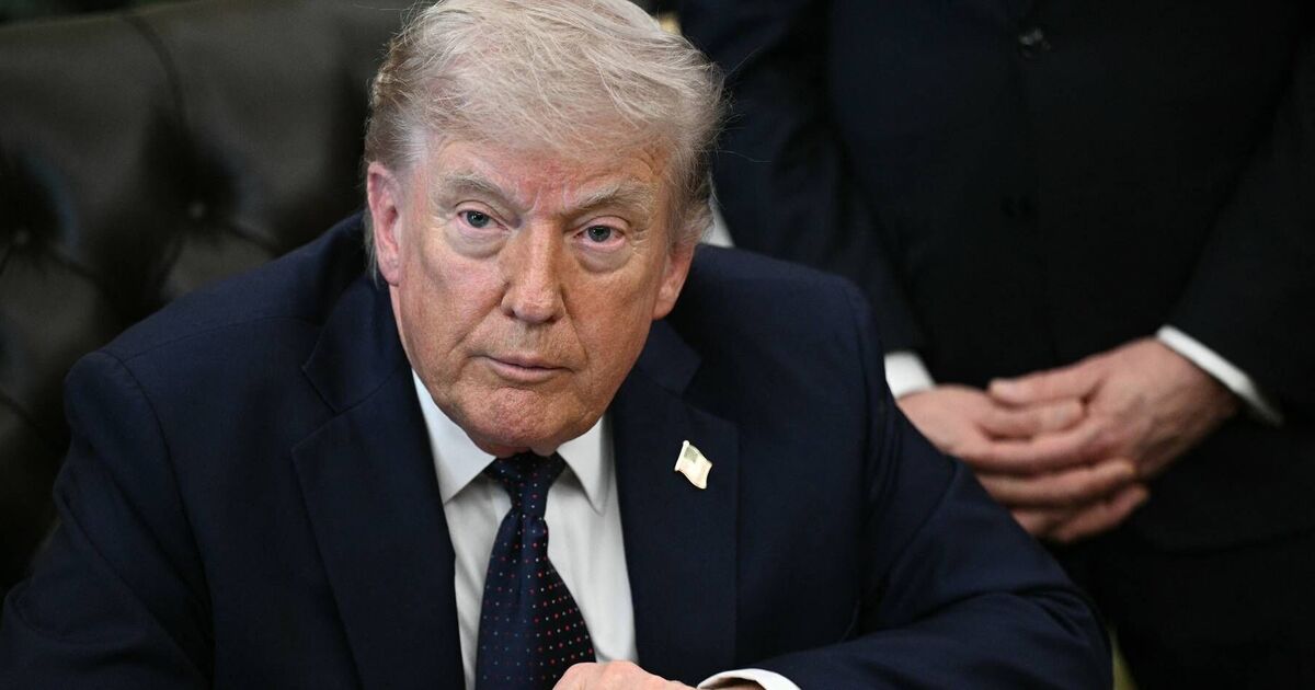 CNN expert issues Democrats midterm warning just after Trump's loss - TV - Entertainment