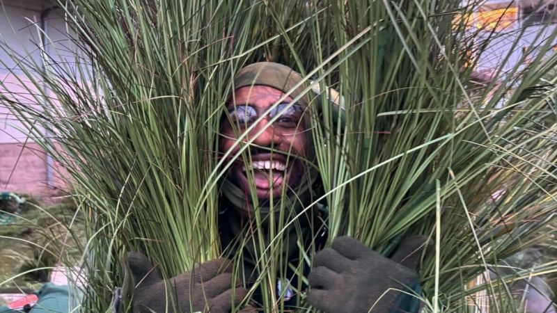 What it was like to be a ‘bush’ in the halftime show - CNN