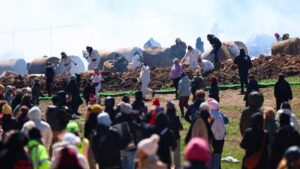 Hundreds trying to storm Wisconsin beagle research facility met with rubber bullets, pepper spray