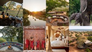 From the Lower Zambezi to the East of Rwanda, these are Africa’s sleekest new safari lodges