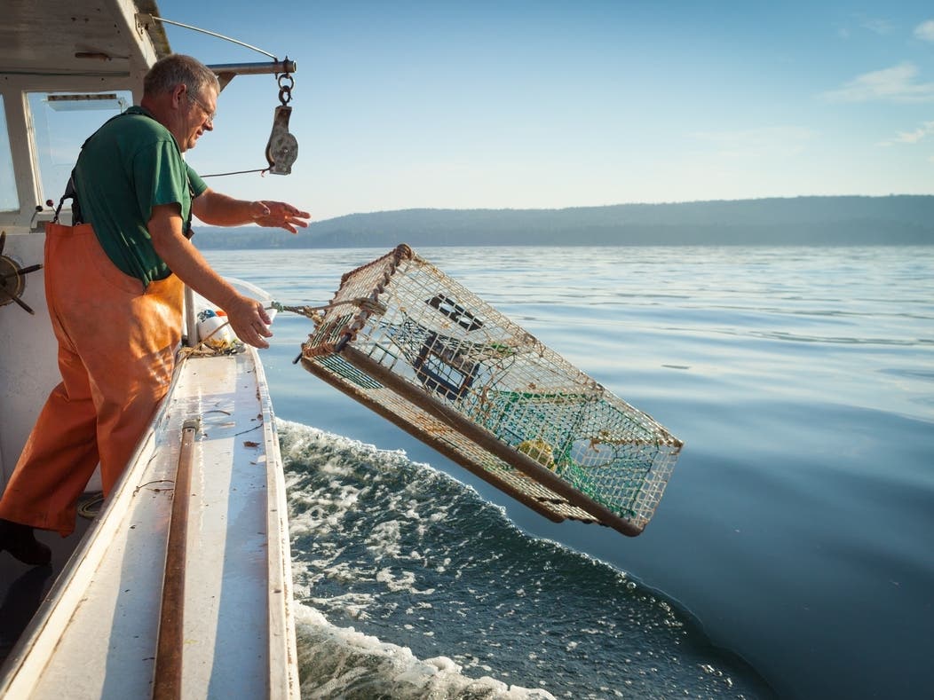 Massachusetts Has One Of Most Beautiful Small Towns In US, Condé Nast Says