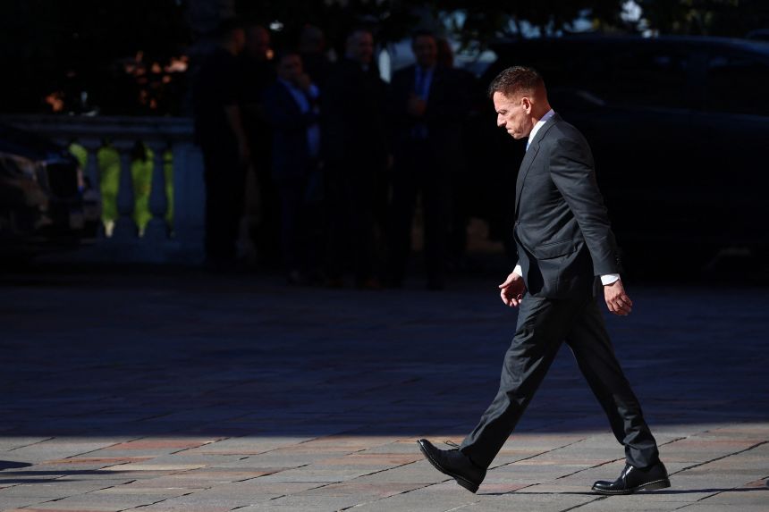 Peter Thiel and other Silicon Valley titans are spending to defeat California's wealth tax proposal.