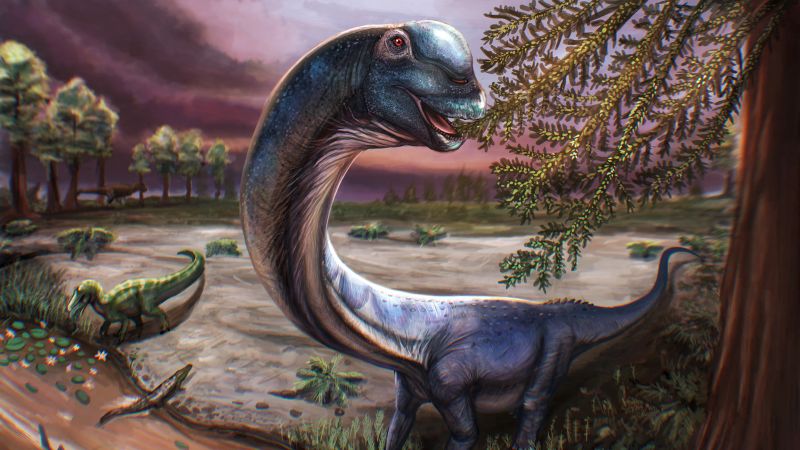 New species of giant dinosaur identified from remains found in Thailand