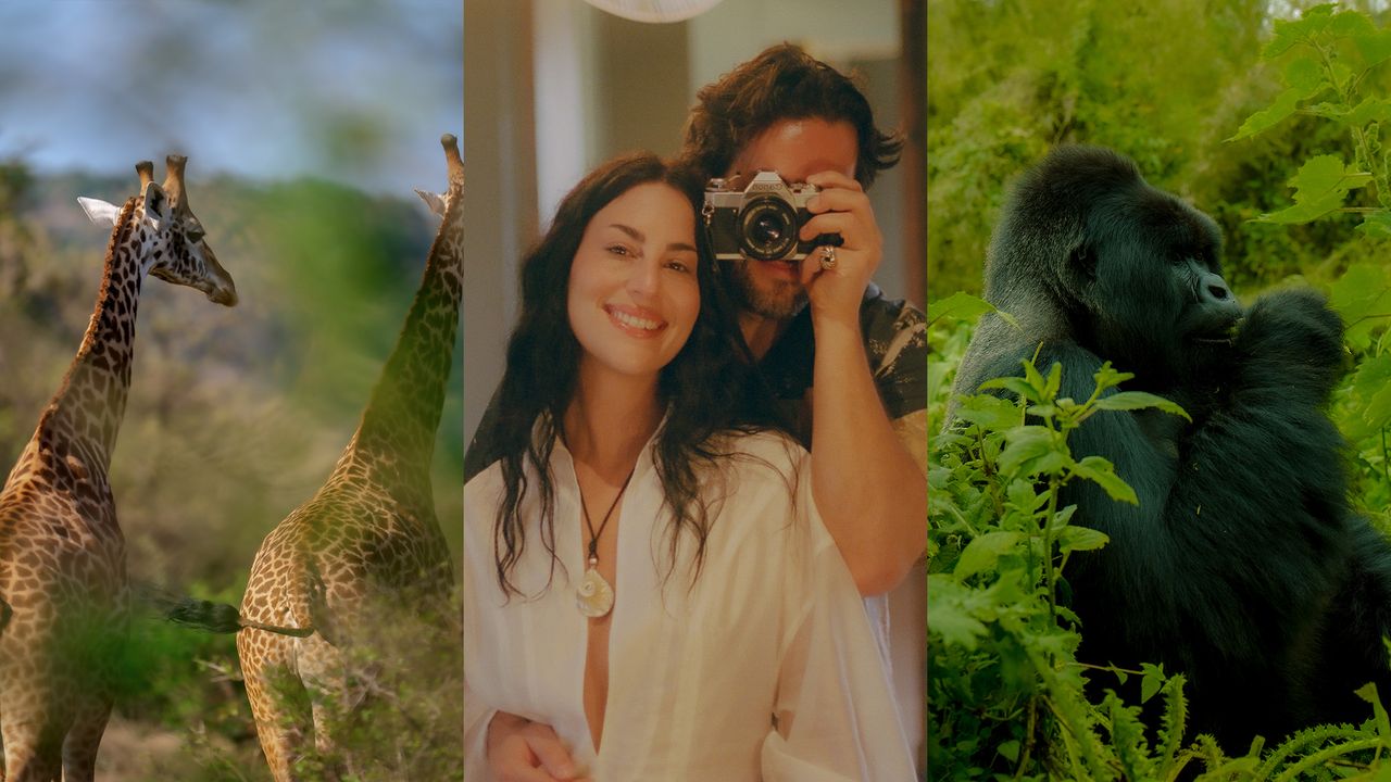 A Journey of Discovery with Wilderness