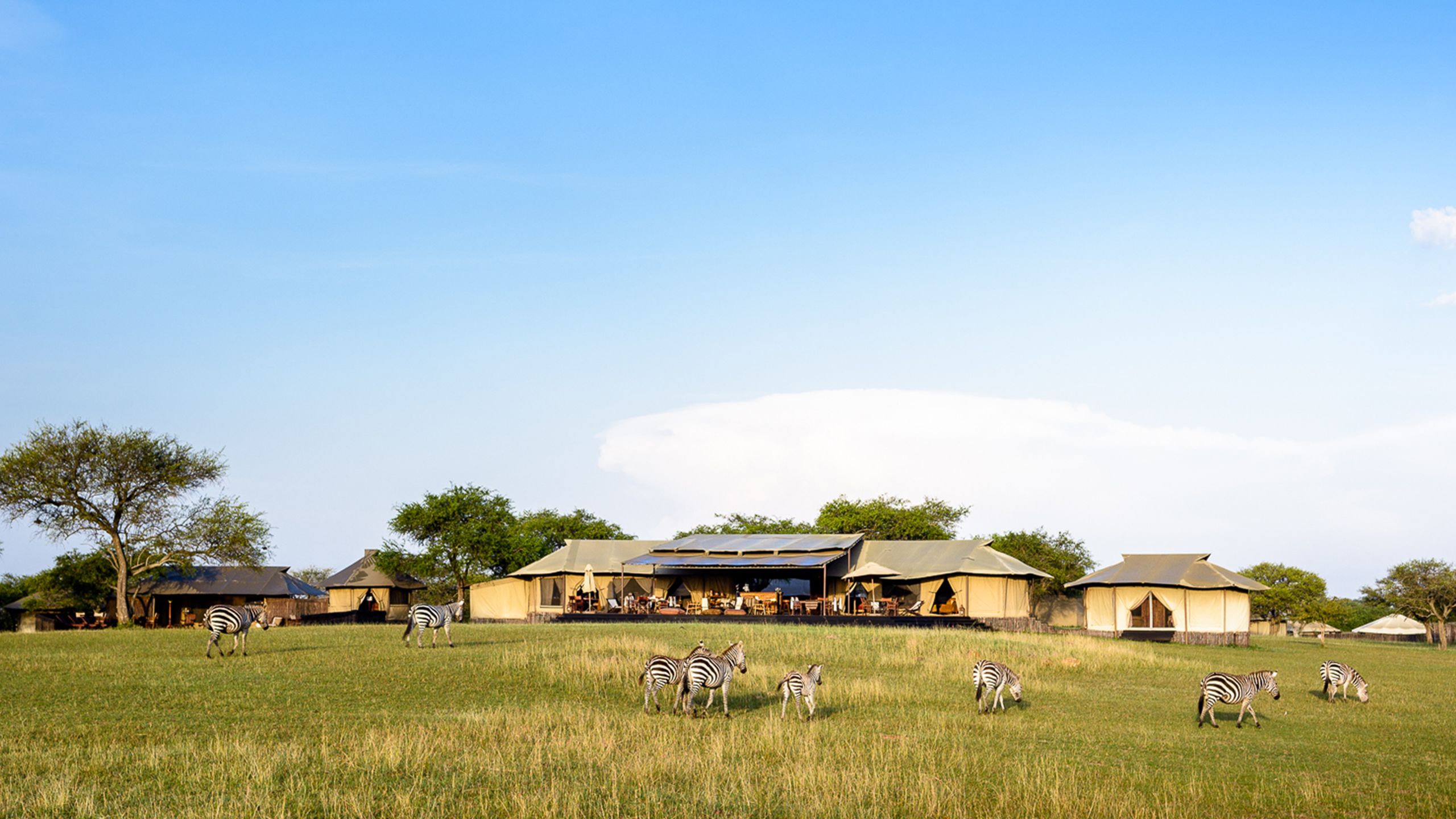 Singita Sabora Tented Camp, Tanzania