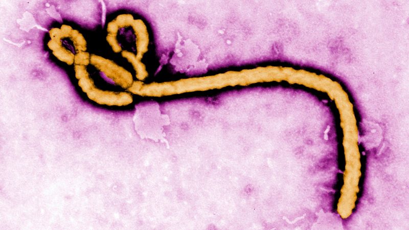 A new Ebola outbreak is confirmed in a remote Congo province, with 65 deaths recorded