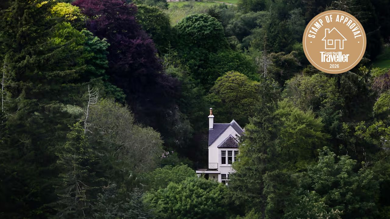 My favourite Airbnb in the Scottish Highlands, where deer roam the grounds and an owl-cam keeps you up to date with your closest neighbours