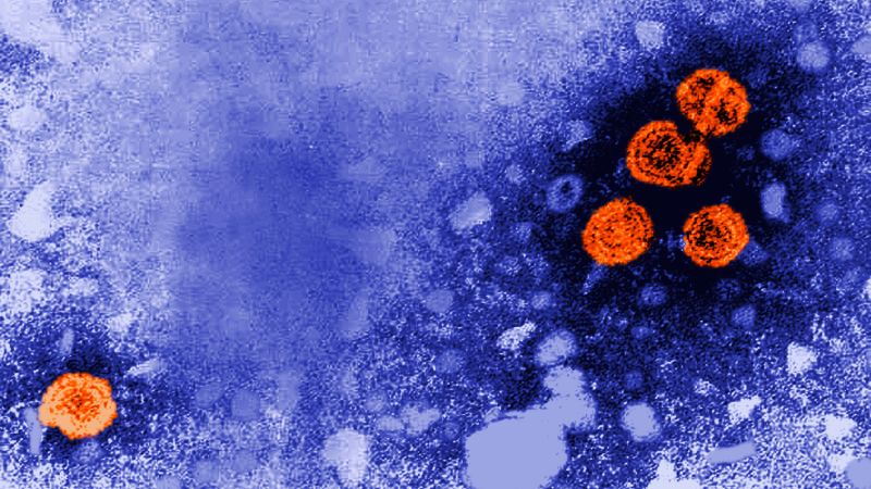 Experimental hepatitis B drug might offer ‘functional cure’ for a subset of patients