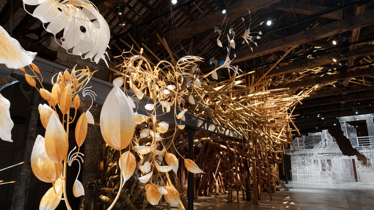 An insider’s guide to the Venice Biennale 2026