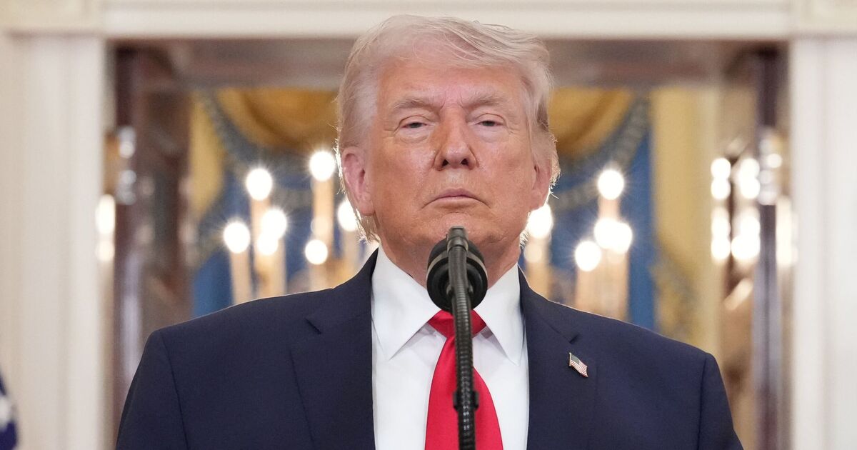 CNN thrown off script as guest savages Donald Trump - Celebrity News - Entertainment