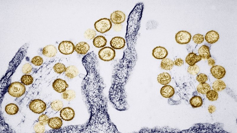 What is hantavirus and how does it spread?