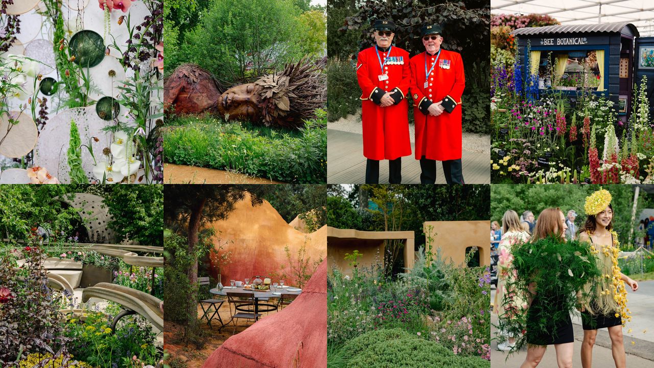 Chelsea Flower Show 2026: pictures, highlights and the best gardens we saw