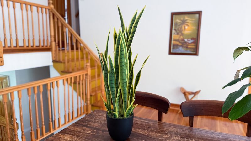 13 best artificial plants that look real