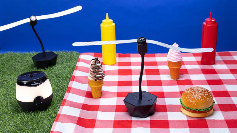 How to keep bugs away from food, according to pest control pros