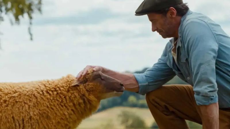 ‘The Sheep Detectives’ are on the case in this big-screen ‘ewe-dunnit’ - CNN