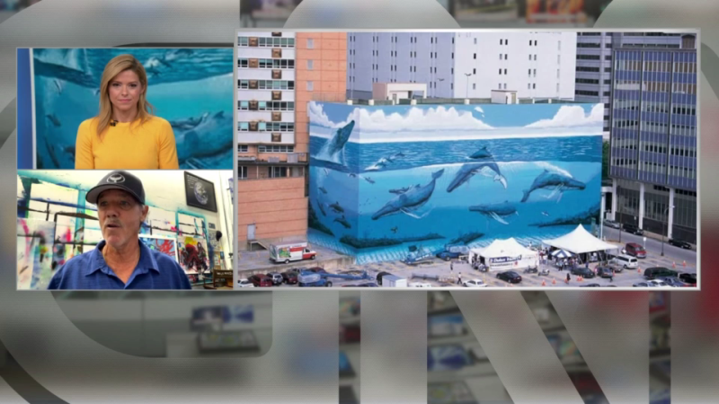 ‘They completely destroyed it and for what?’ Artist Wyland reacts to Dallas mural being painted over - CNN