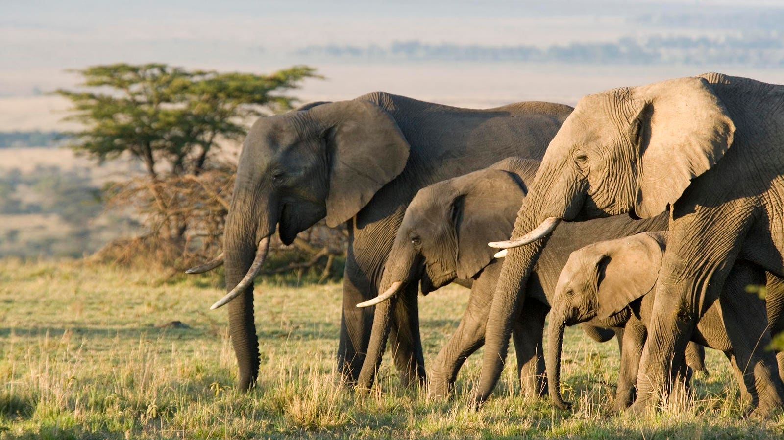 Kenya’s Best Safari Might Start On Land, But It Doesn’t End There