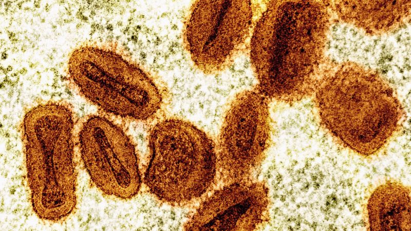 2 scientists charged with bringing deactivated mpox virus into the US and lying to authorities
