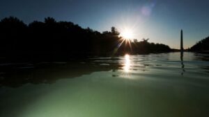 Reflecting Pool woes: Trump administration turns to hydrogen peroxide in latest bid to beat back algae