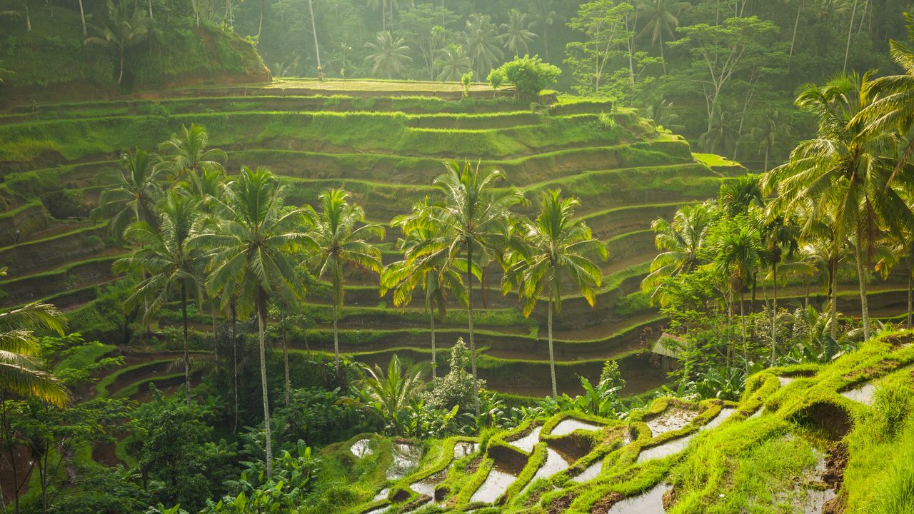 Condé Nast Traveller