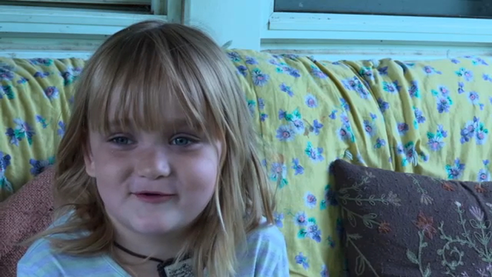 6-year-old girl bitten by rabid bat in Tigerton, Wisconsin, family says