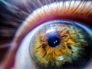 Scientists Just Discovered the Eye Defies a Long-Held Rule of Vision