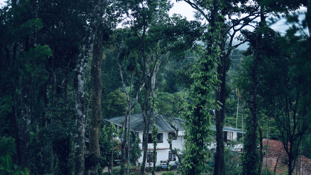 13 beautiful homestays in coffee, tea and spice plantations in India