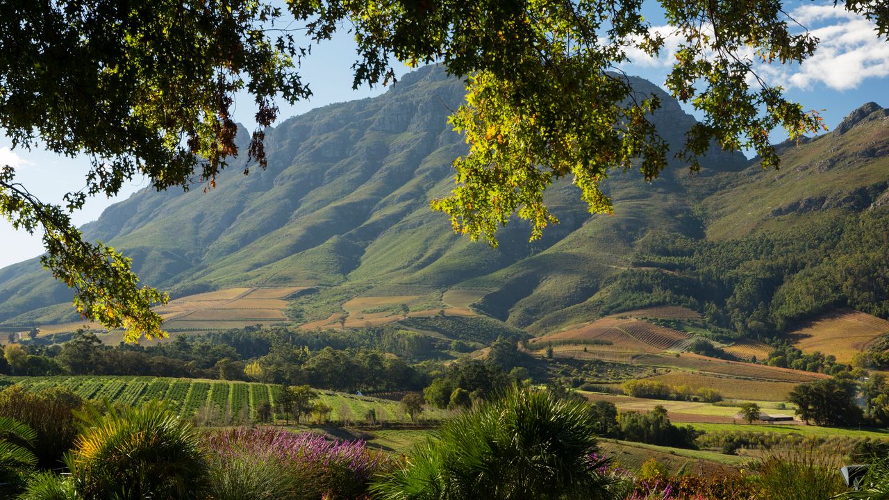 7 Best Family Vacation Spots in the World