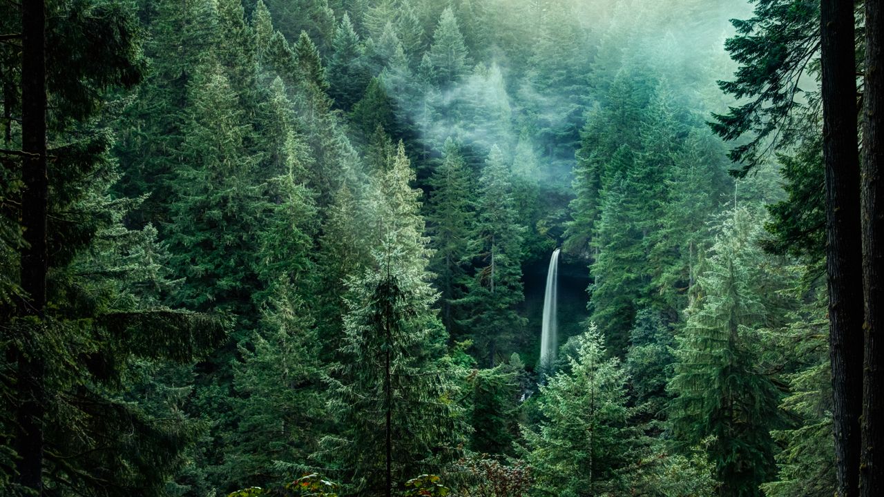 Where Was Twilight Filmed? Sinking Our Teeth Into the Real Forks, Washington And Other Filming Locations
