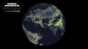 68 Quadrillion Miles: Scientists Map Earth’s Vast Hidden Fungal Network for the First Time