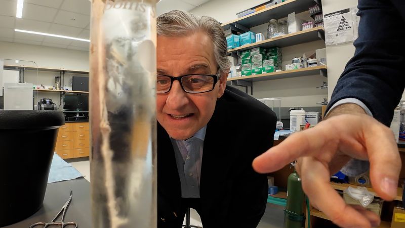 How a baby’s death impacted a doctor’s career, changing what we know about inflammation