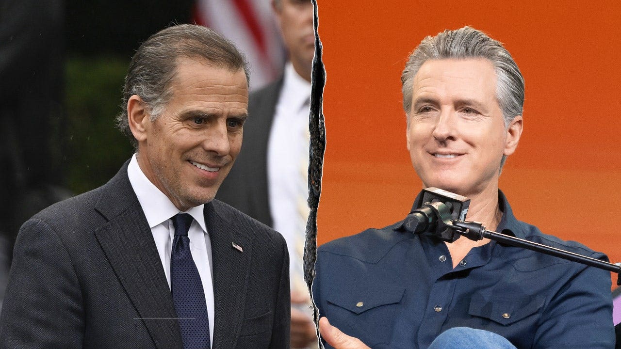 CNN panelist compares Hunter Biden, Newsom to Ninja Turtles pairing