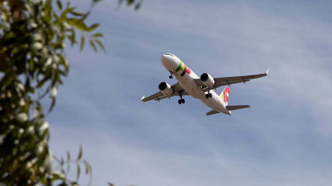 TAP Air Portugal Discount Codes June 2026