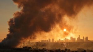 Hazy nightmare, puzzling fossils, huge cannabis stash: Catch up on the day’s stories