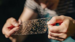 Why can’t we just get rid of mosquitoes? One fed-up community is trying