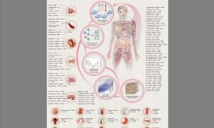 Chinese researchers draw highest-resolution, most comprehensive human proteome map to date